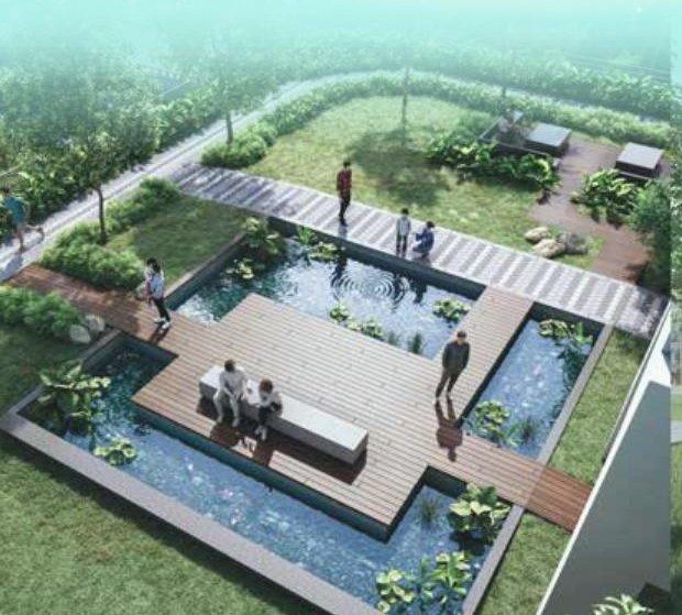 Koi pond garden